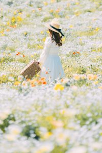花の駅せら　白ネモフィラと